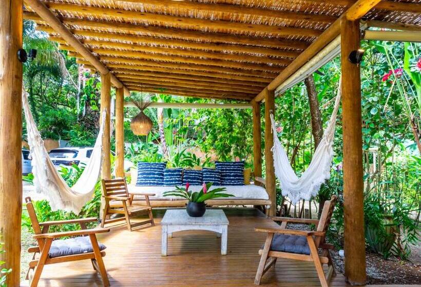 استودیوی لوکس, Casas Natureza Brasil