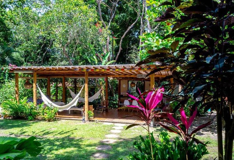 استودیوی لوکس, Casas Natureza Brasil