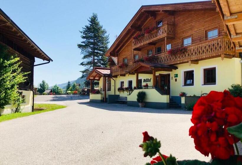 Standardrum, Heisshof