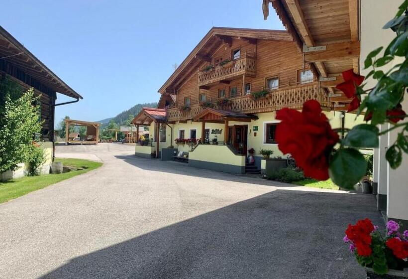 Standard Enkelrum, Heisshof