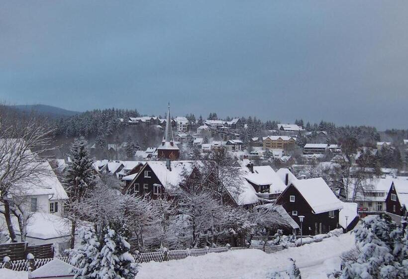 آپارتمان 1 خوابه, Kleines Berghaus