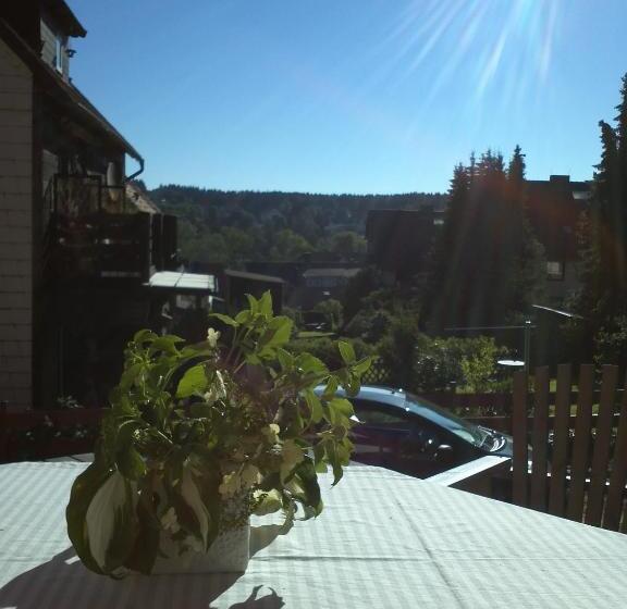 آپارتمان 1 خوابه, Kleines Berghaus