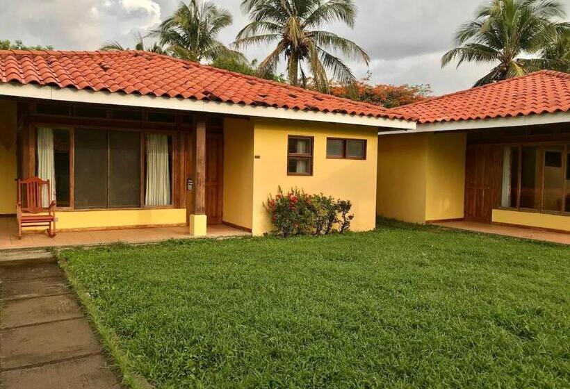 إستوديو قياسى, Nandel Beach Resort