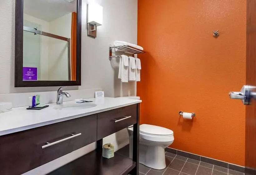 身障者適用スイートルーム, Sleep Inn & Suites Lancasterplatteville