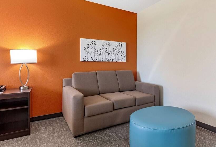 适合残疾人士使用的套间, Sleep Inn & Suites Lancasterplatteville