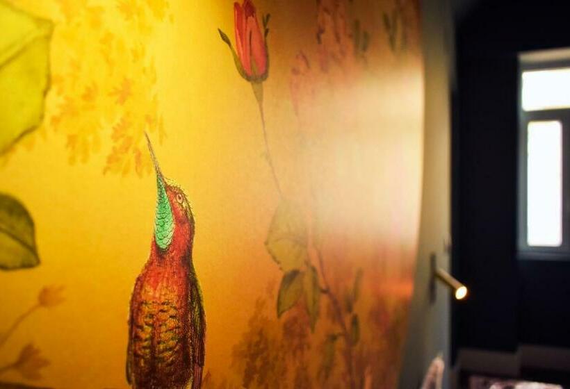 سوییت اجرایی, Arte Nova Guesthouse