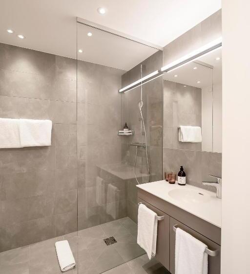 شقة غرفة واحدة, Firmament