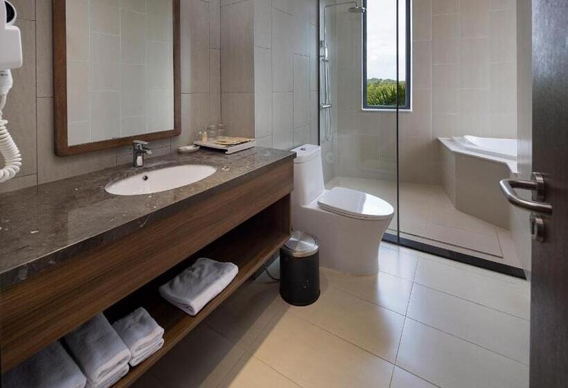 سوییت خانوادگی, Le Palmier Ho Tram Resort