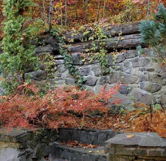 四人标准间, Elf Cottage