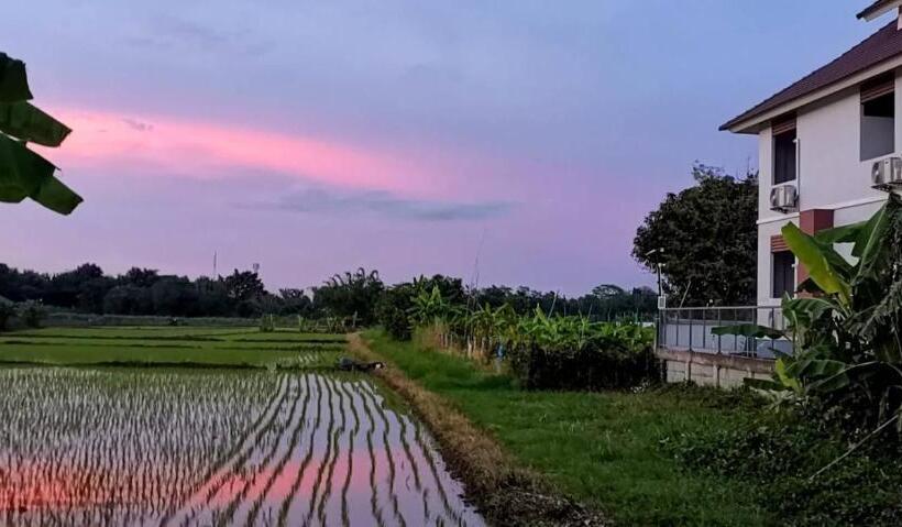 اتاق خانوادگی, Annahouse