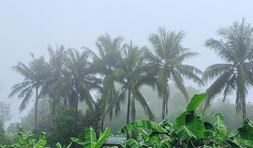 اتاق خانوادگی, Annahouse