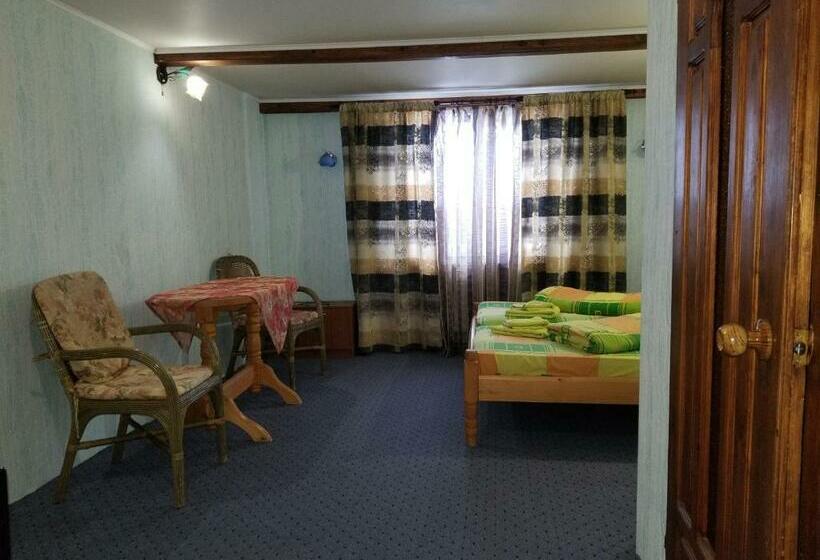 اتاق استاندارد, у ірини