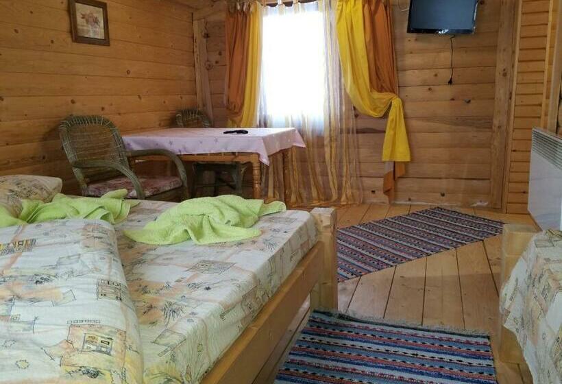 اتاق استاندارد, у ірини