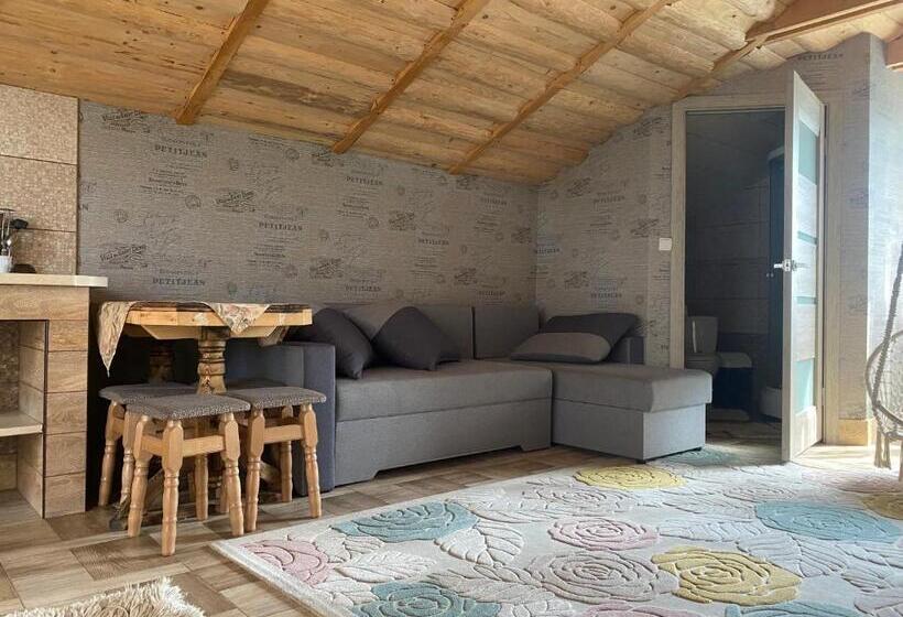 خانه 1 خوابه, у ірини