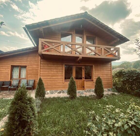 خانه 1 خوابه, у ірини