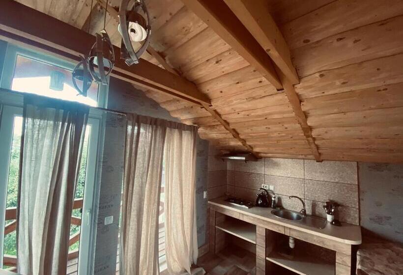 خانه 1 خوابه, у ірини