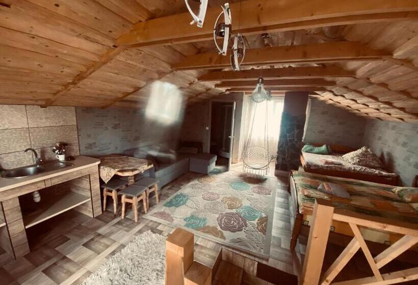 خانه 1 خوابه, у ірини