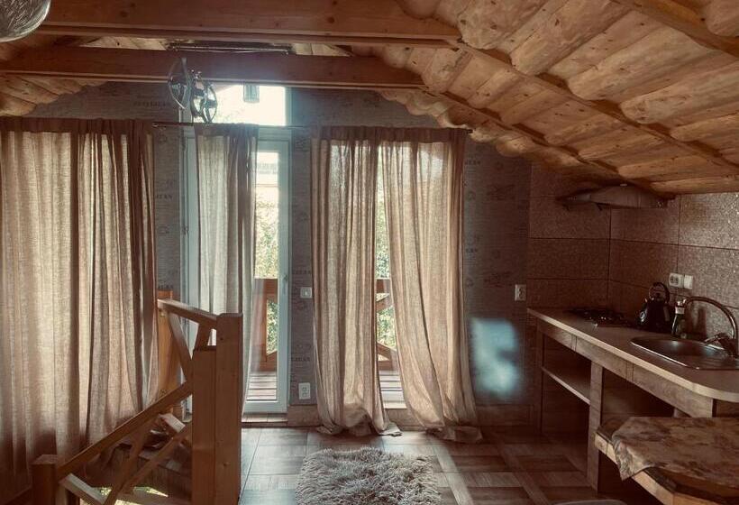 خانه 1 خوابه, у ірини