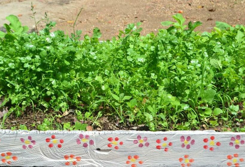 スタンダードルーム, Posada Los Reyecitos