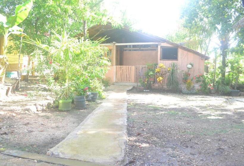 スタンダードルーム, Posada Los Reyecitos