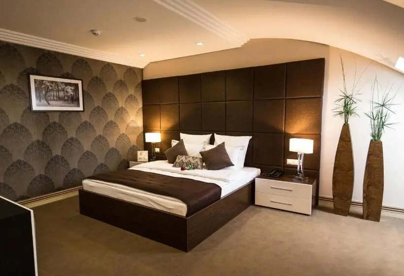 デラックススタジオ, Park Hotel Warshawskiy