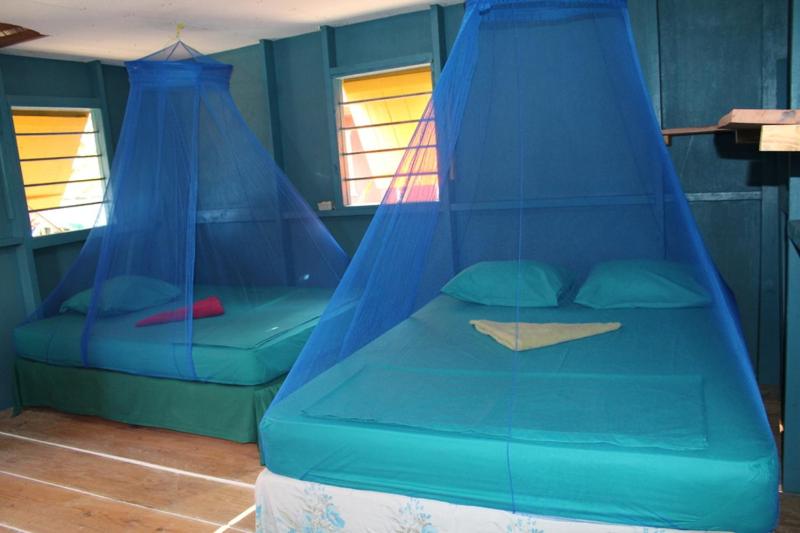 标准间, Sunrise Paradise/carlito´s Place