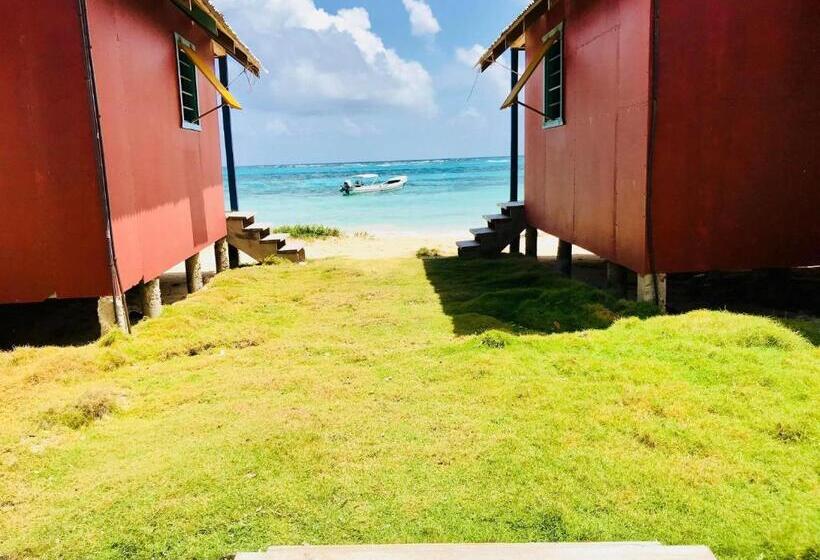 标准间, Sunrise Paradise/carlito´s Place