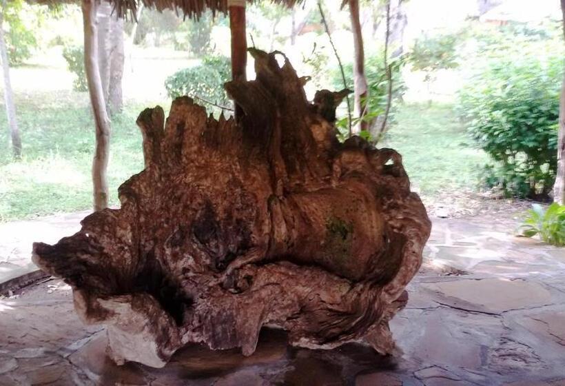 Tenda Deluxe, Bahari Pori Resort