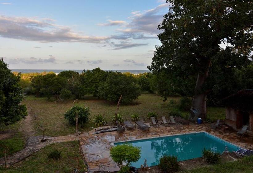 Tenda Deluxe, Bahari Pori Resort