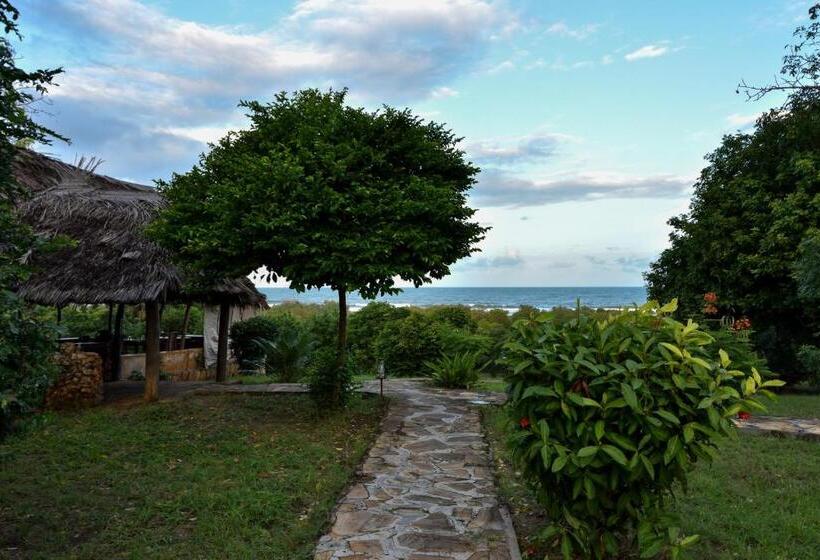 Tenda Deluxe, Bahari Pori Resort