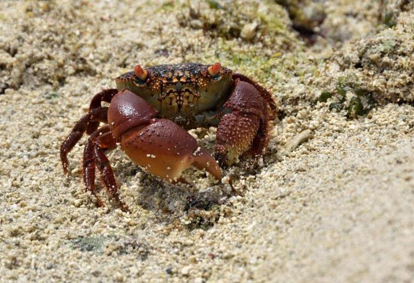 Casa 1 Quarto, Bahari Pori Resort