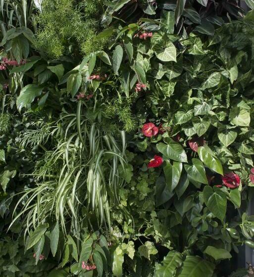 דירת קומפורט חדר שינה 1, Domitys Les Cigales Du Lubéron