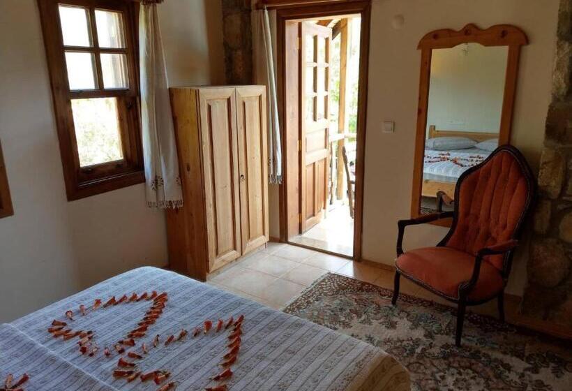 اتاق کلاسیک, Olympos Koyevi Countryhouse