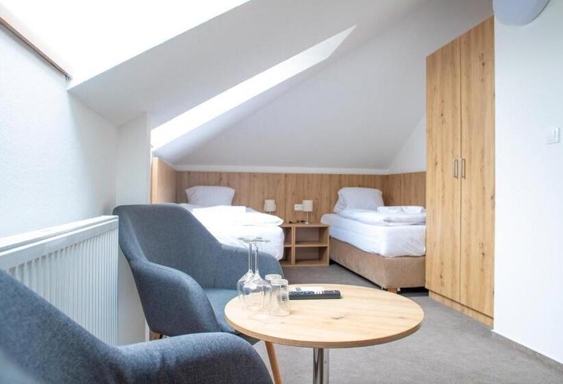 חדר סטנדרט לארבעה, Amenity Penzion Horni Vestonice