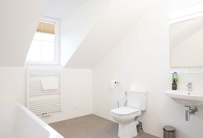 חדר סטנדרט לארבעה, Amenity Penzion Horni Vestonice