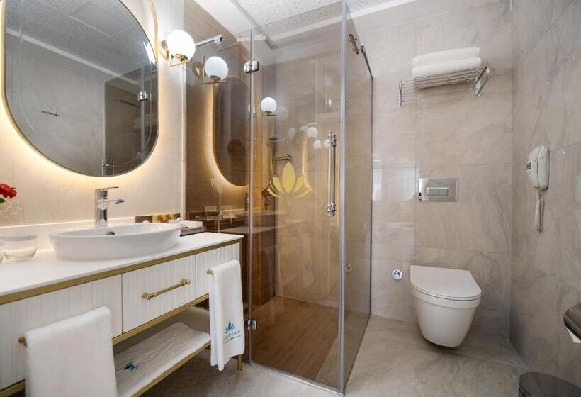 اتاق لوکس, Elysium Green Suites