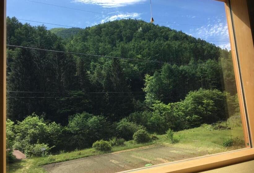 Семейный Номер, Guesthouse Kazenowa