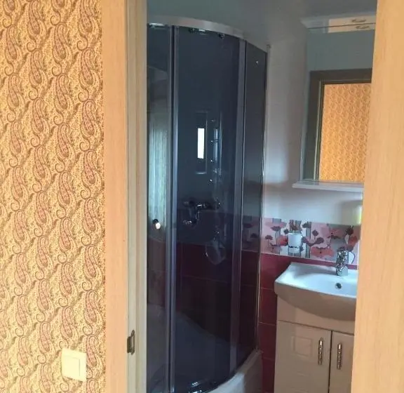 Deluxe-huone, Minihotel Zolotoe Runo