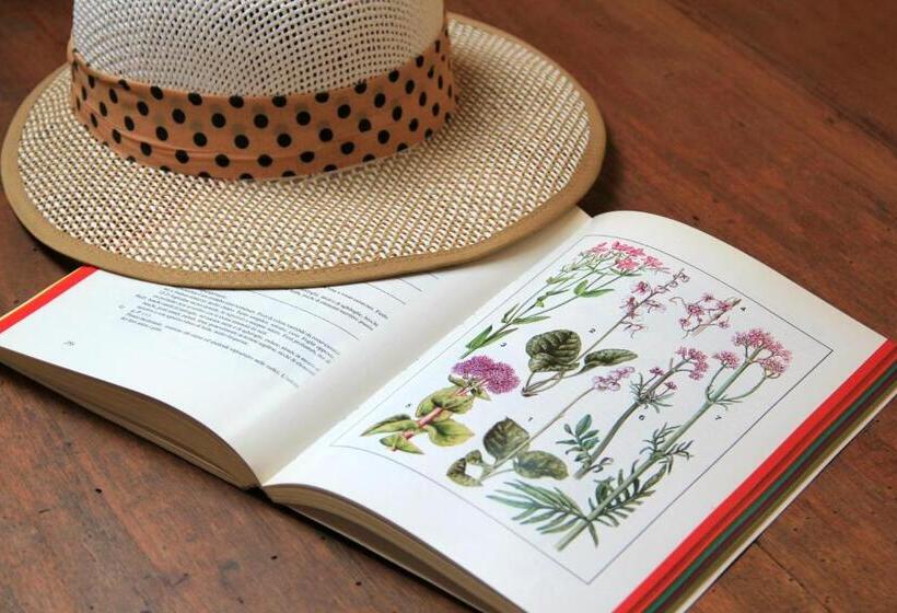 Номер Стандарт, B&b Locanda Dei Tigli