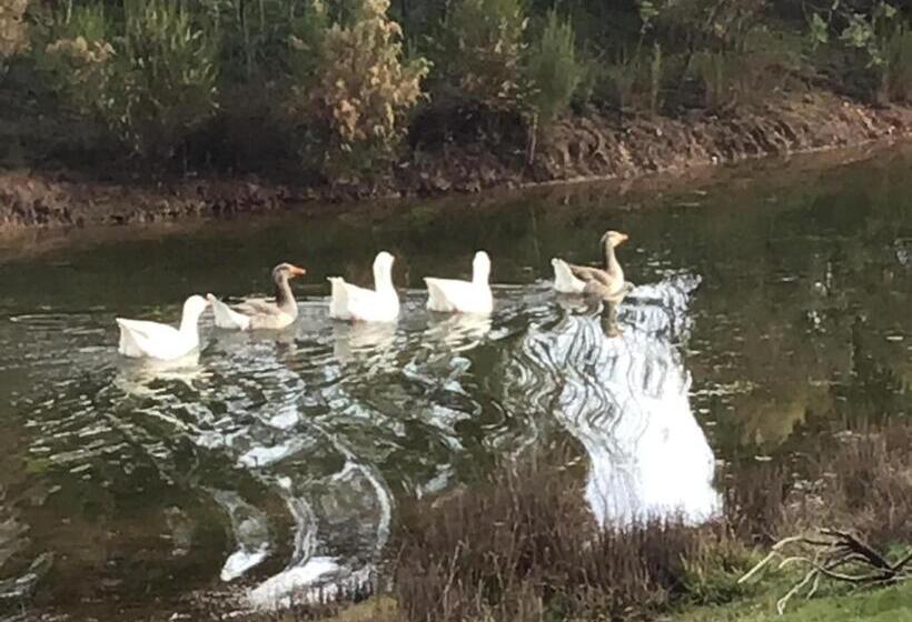 Номер Deluxe, Stephanie’s Country Cottages