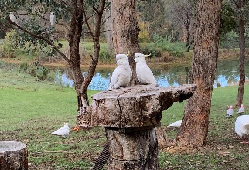 Студия Стандарт, Stephanie’s Country Cottages