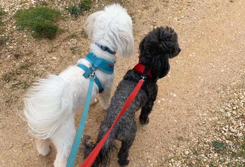 Бунгало Deluxe, Stephanie’s Country Cottages