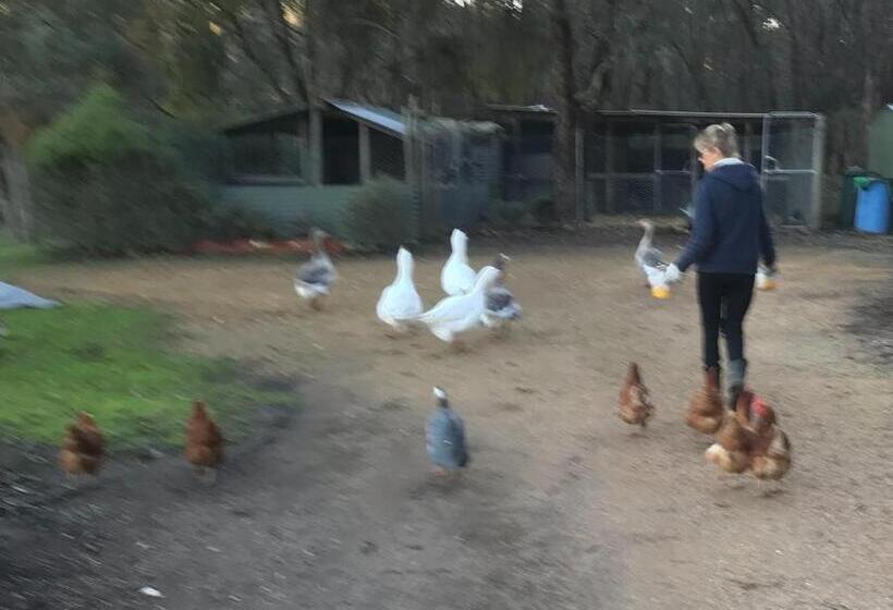 Номер Deluxe, Stephanie’s Country Cottages