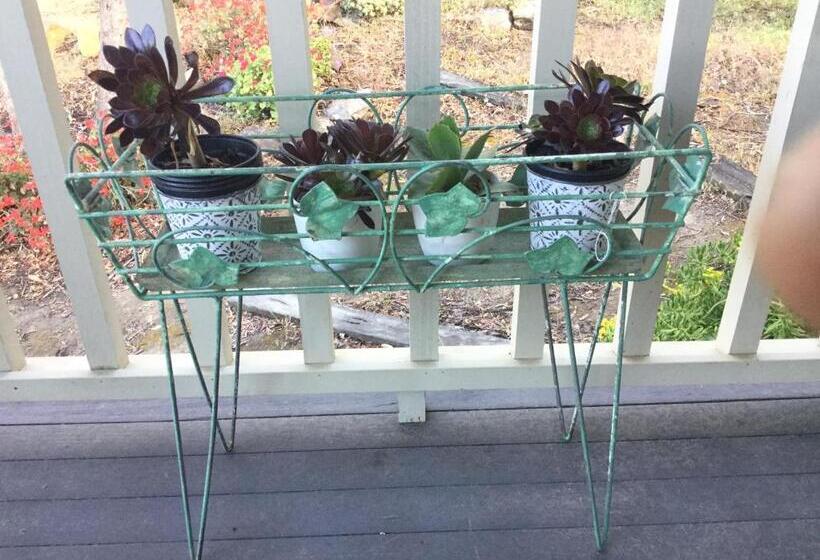 Студия Стандарт, Stephanie’s Country Cottages