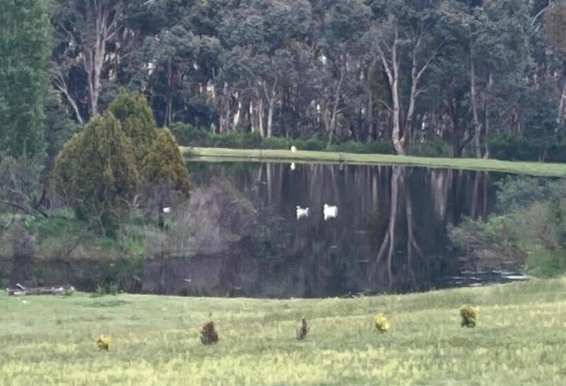 Бунгало Deluxe, Stephanie’s Country Cottages