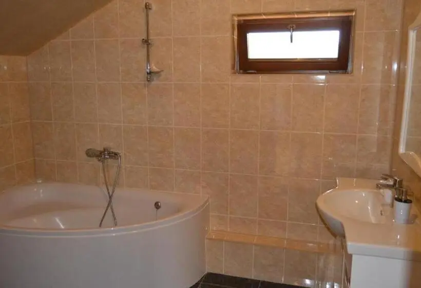 Appartamento 1 Camera da Letto con Balcone, Bilovoddya