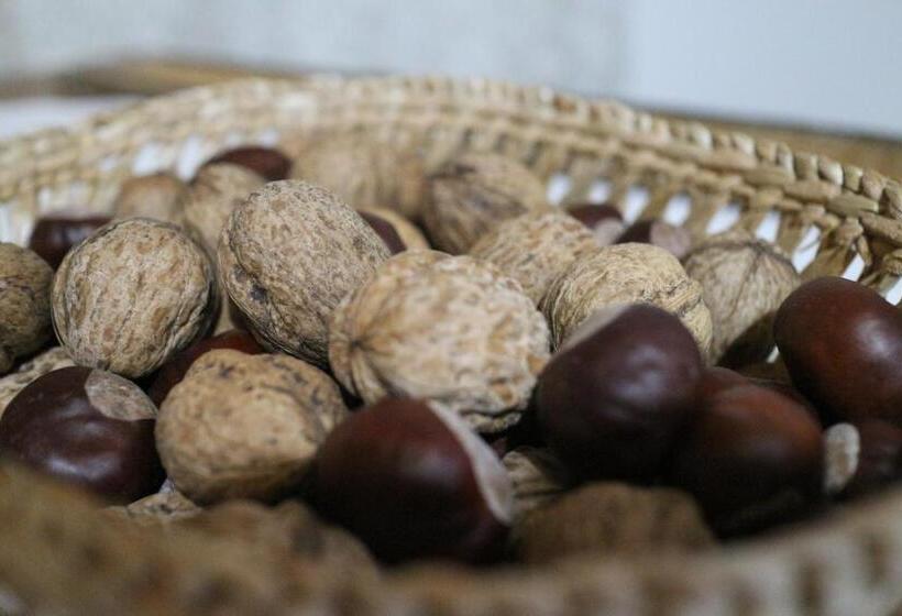 １ベッドルームハウス, La Casa Boierului