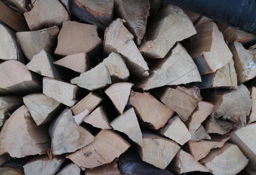 １ベッドルームハウス, La Casa Boierului