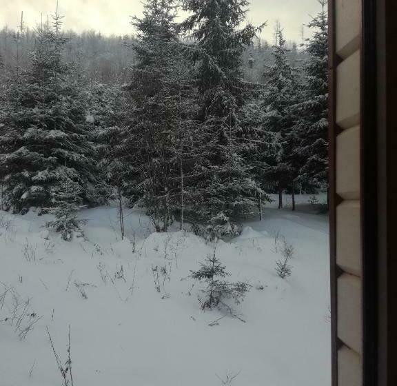 جناح عائلي, Hirska Kazka