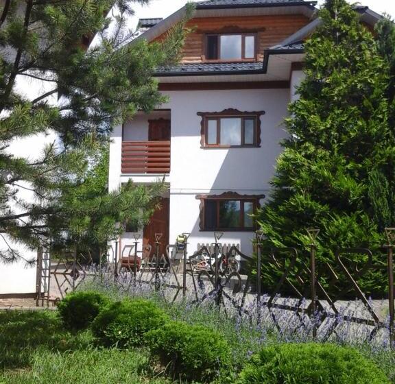 سوییت دوبلکس, коттедж Leleka Vyzhnynsia